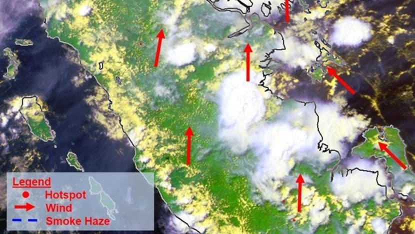 Haze: PSI for next 24 hours forecast to be in moderate range