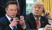 Trump says will 'take a look' at deporting Musk