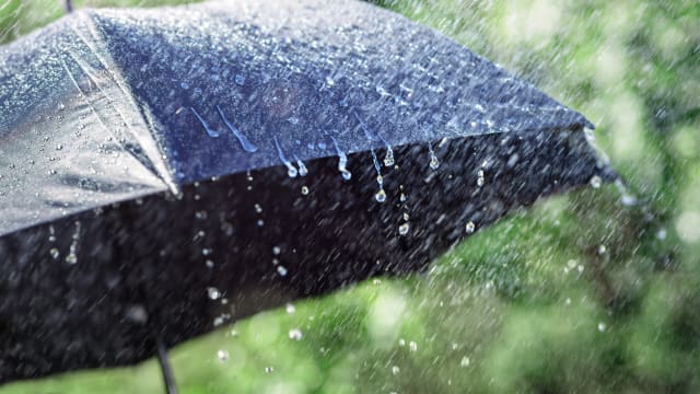 2月最后两周将迎来更多雷雨天气