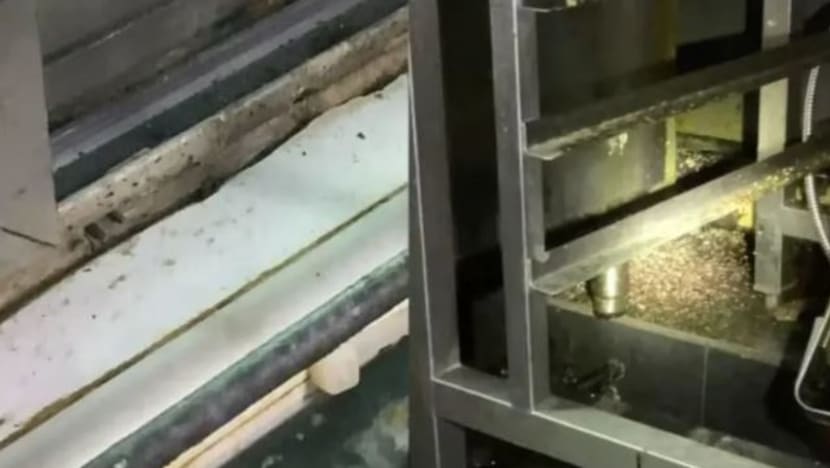 KG Catering didenda S$6,000 atas masalah kebersihan; 92 kes keracunan makanan dilaporkan