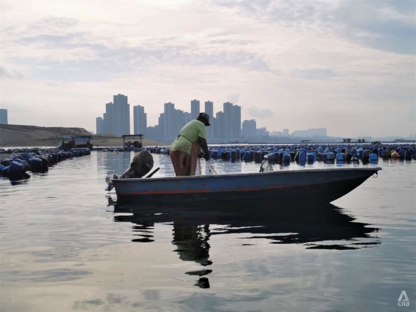 ‘In 10 years, we may no longer be here’: Johor’s Orang Seletar threatened by dwindling seafood catch ‘In 10 years, we may no longer be here’: Johor’s Orang Seletar threatened by dwindling seafood catch