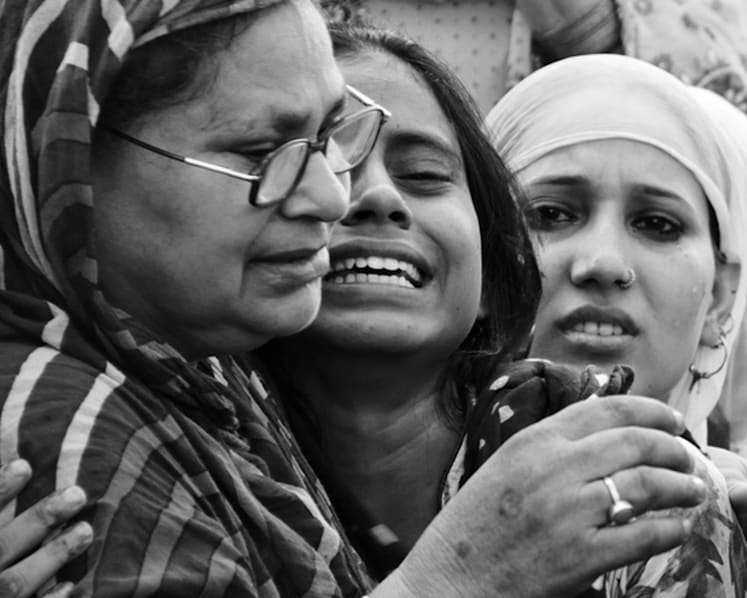 India’s sacred cows and unholy politics