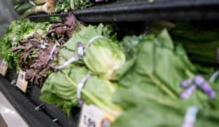 CDC expands largest known cyclospora outbreak to 15 states, Washington Post reports