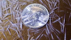 Related article image