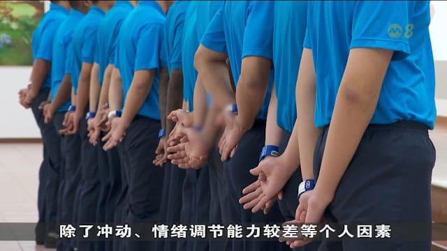 16至21岁囚犯人数一年内增逾三成 专家：青年犯罪涉多重因素