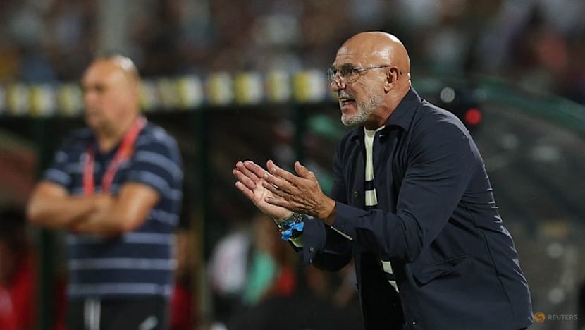 Spain coach cautious after record run makes them World Cup favourites