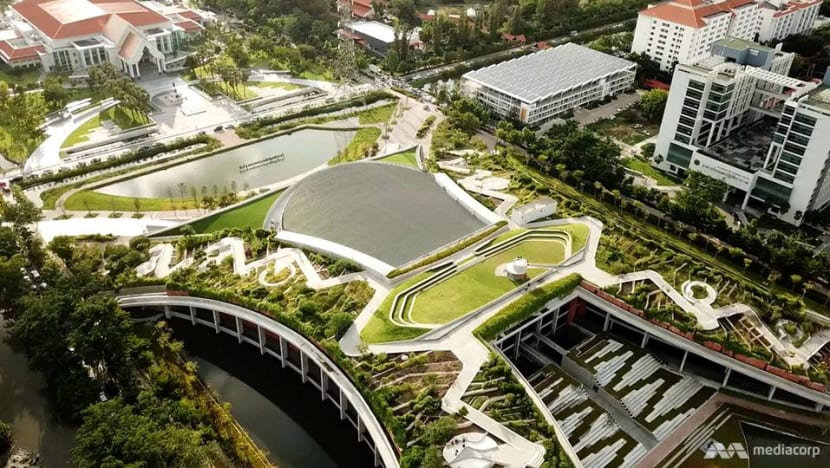 In times of crisis, Bangkok is finding space to grow its own food In times of crisis, Bangkok is finding space to grow its own food