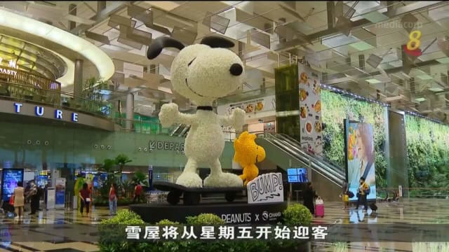 樟宜机场推出史努比主题雪屋 在炎热天气中避暑