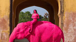 Related article image