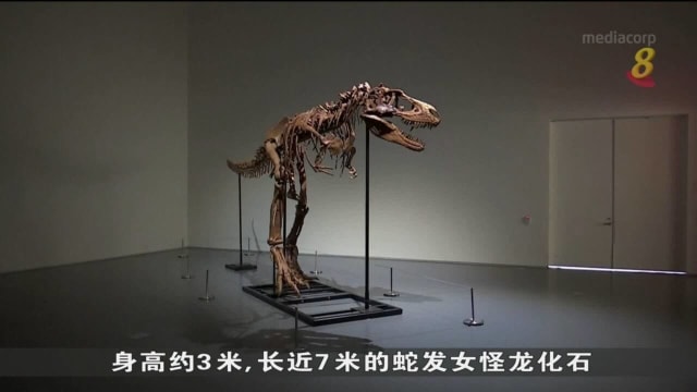 纽约拍卖行首次拍卖“蛇发女怪龙”完整骨架化石
