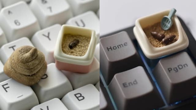 猫奴上班想念家里的猫？键盘上长出猫砂盆