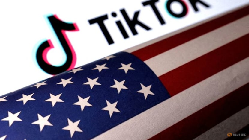TikTok faces crucial court hearing that could decide fate in US TikTok faces crucial court hearing that could decide fate in US