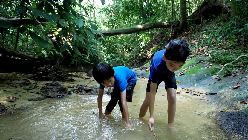 Outdoor educator’s quest to impart life lessons from Rifle Range Nature Park ‘classroom’