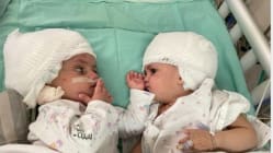 Related article image