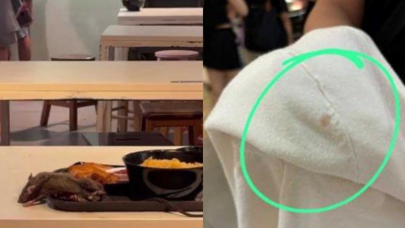 Rat on tray: Affected Tangs Market patron is pregnant woman; family rejects offer of S$200 voucher Rat on tray: Affected Tangs Market patron is pregnant woman; family rejects offer of S$200 voucher