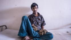 Related article image