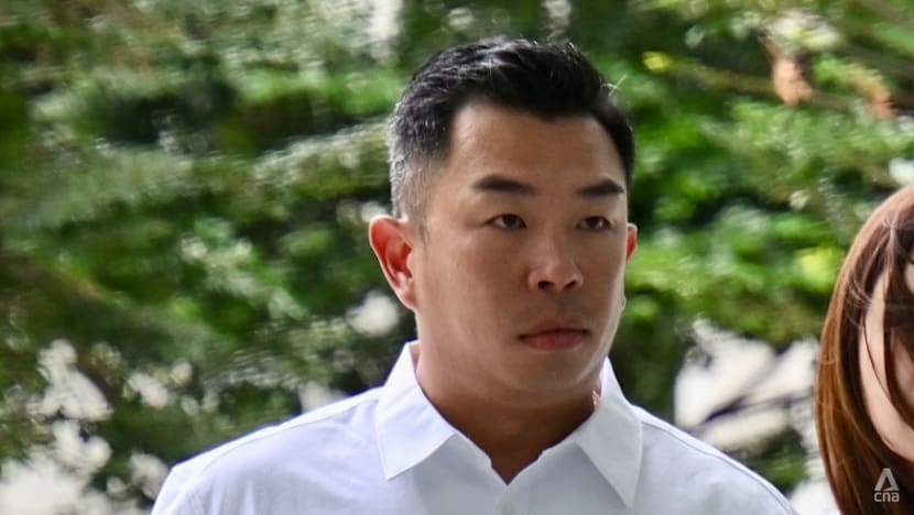 High-Quality Man Admits Throwing Rocks, Glass Bottles At Neighbour's Car In Year-long Landed Home Parking Dispute Artwork for Desktop