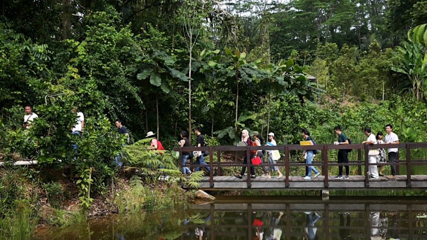 Century-old forest at Botanic Gardens opens