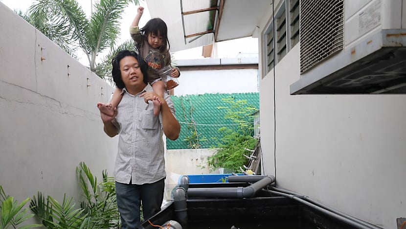 Fish farmer dreams of saving ocean
