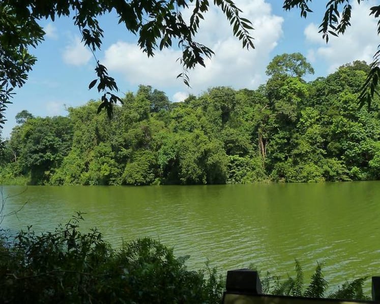 Construction worker gets jail, caning for raping 12-year-old girl thrice at reservoir