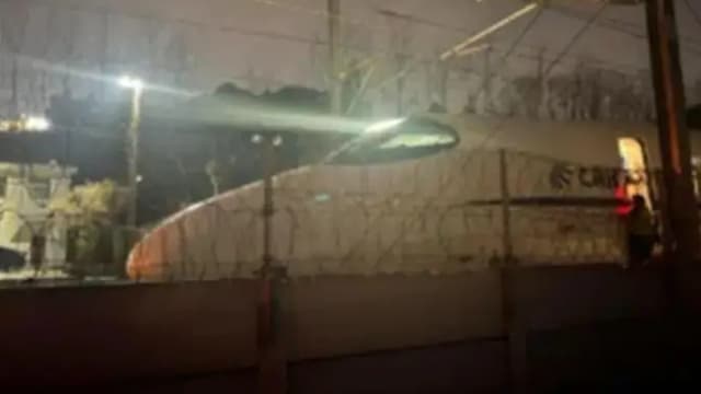 中国发生列车撞鸟事故 鸟类撞击列车影响有多大？