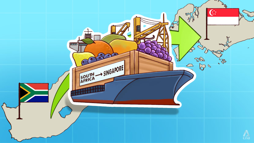 Distance no barrier: How South Africa fits Singapore's food security blueprint