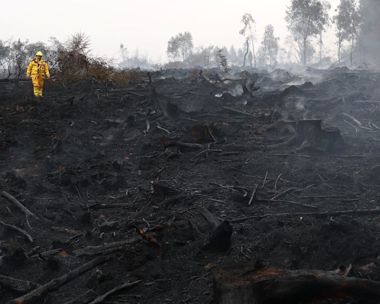 Rainfall aids fight against Belgium's biggest wildfire, as blazes rip through Europe Rainfall aids fight against Belgium's biggest wildfire, as blazes rip through Europe