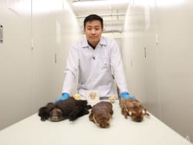 From 100-year-old carcasses to recent roadkill, this museum curator looks after them all | Video