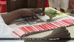 Related article image