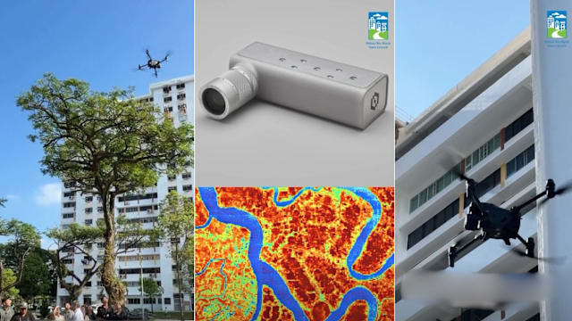 碧山大巴窑新计划 用人工智能无人机为树做“体检”