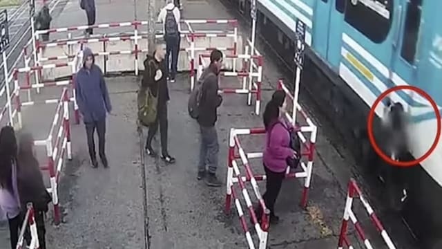 阿根廷低头族过马路不看车 幸及时后退保命