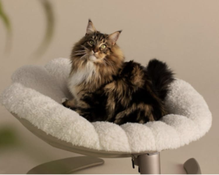Tavo Unveils the Shell™ - A Pet's Elevated Sanctuary of Comfort and Style