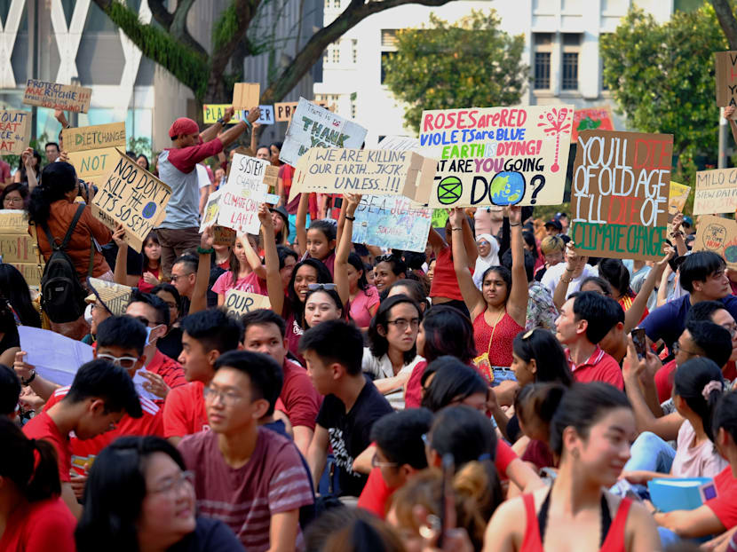 Unfair to say SG Climate Rally does not take into account societal concerns: Organisers
