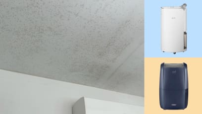 00_mould_and_dehumidifiers_1