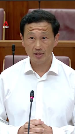  WP must present more than minor variations of PAP policies to be a 'real alternative': Ong Ye Kung