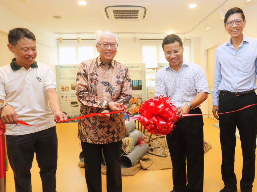 Sisters’ Island Park Public Gallery opens