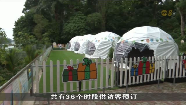 年底佳节新体验 本地生态旅游与豪华露营大受欢迎
