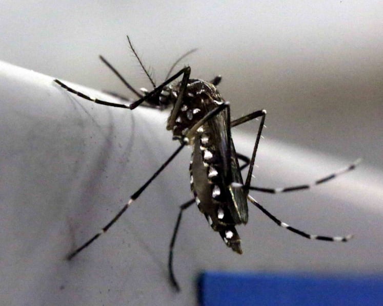 Singapore beefing up measures against Zika