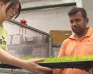 Local vegetable farms warn of up to 10% price hikes amid Iran war disruptions