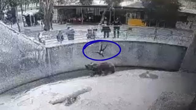 乌兹别克女童曾被母亲抛入熊舍获救  三年后仍遭亲妈刺死