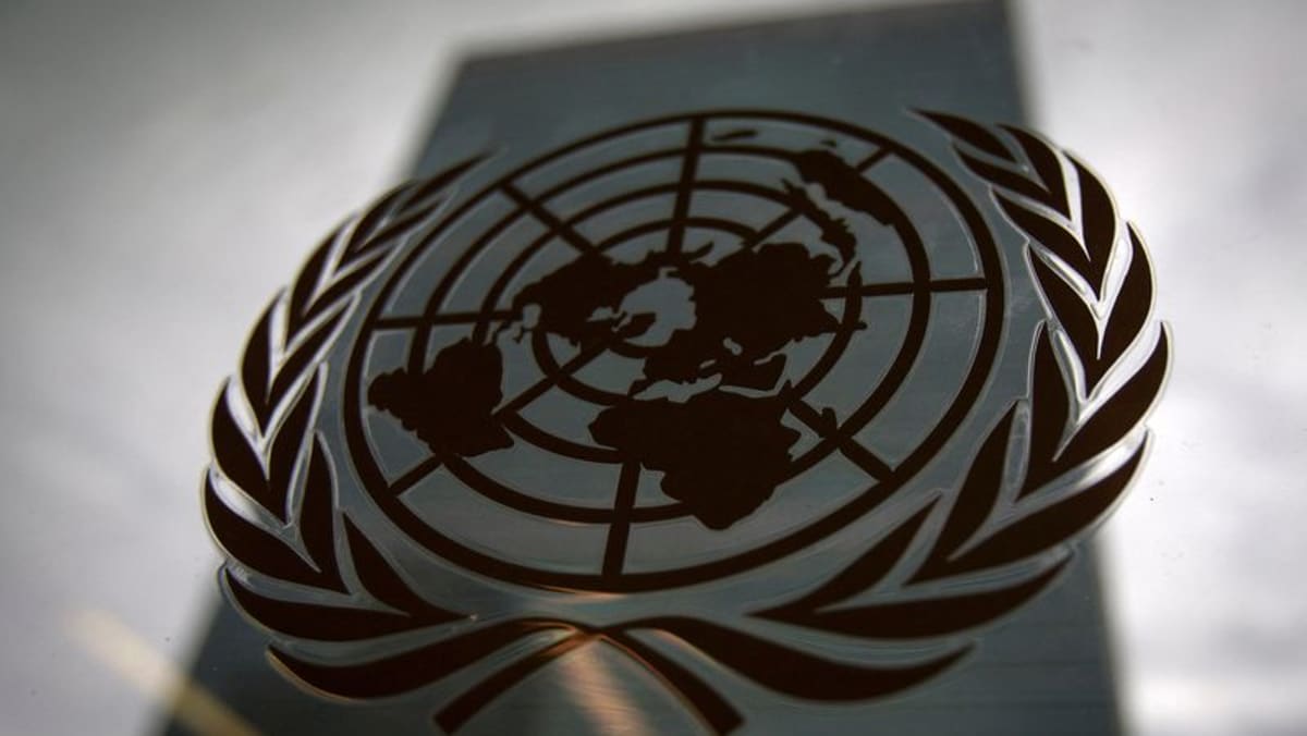 US targets diversity, equity, inclusion at United Nations