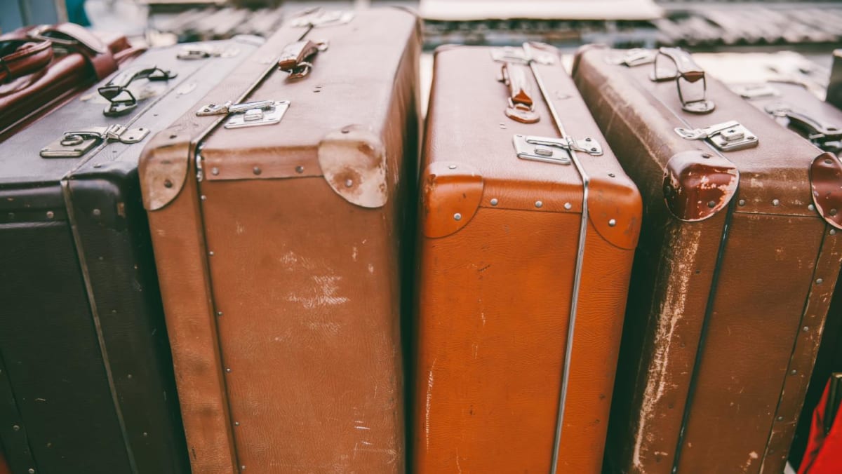 New Zealand woman arrested after travelling with child in suitcase