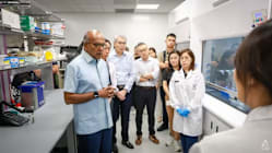 Related article image