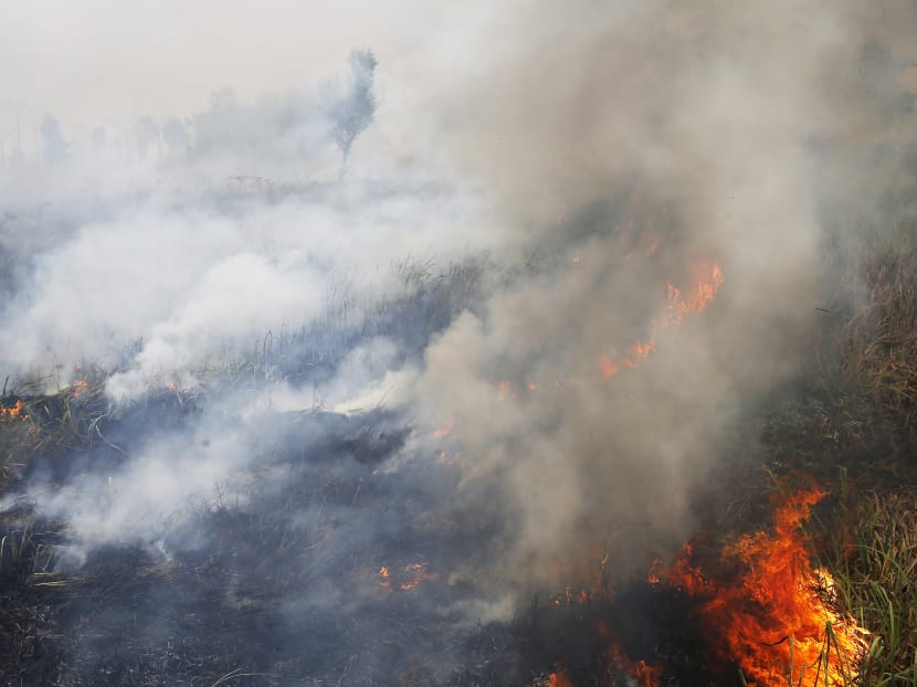 Smoke rises as a fire burns a forest as seen at North Indralya village in Ogan Ilir Regency, Indonesia's south Sumatra province September 13, 2015. Photo: Reuters Smoke rises as a fire burns a forest as seen at North Indralya village in Ogan Ilir Regency, Indonesia's south Sumatra province September 13, 2015. Photo: Reuters
