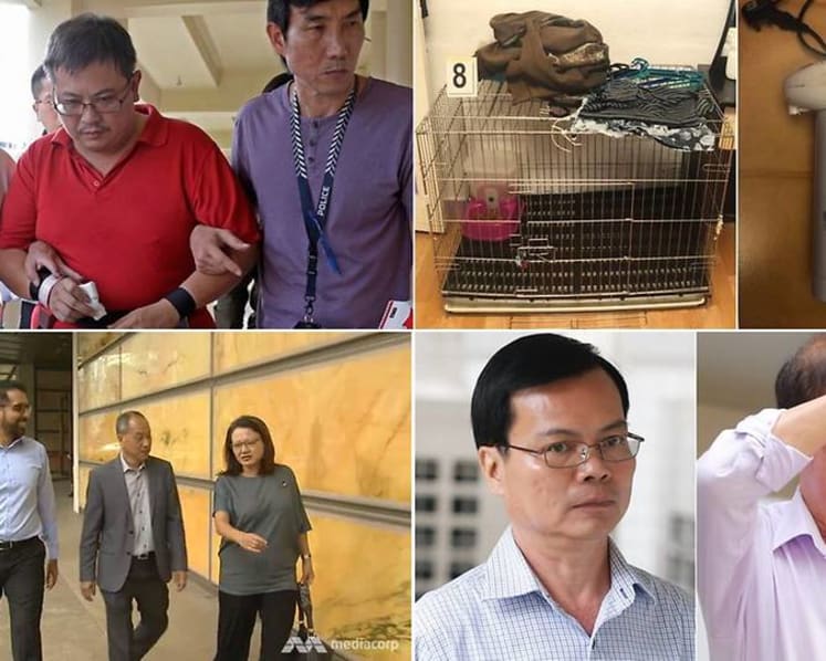 Murders, corruption and scandals: 10 court cases that dominated the headlines in 2019
