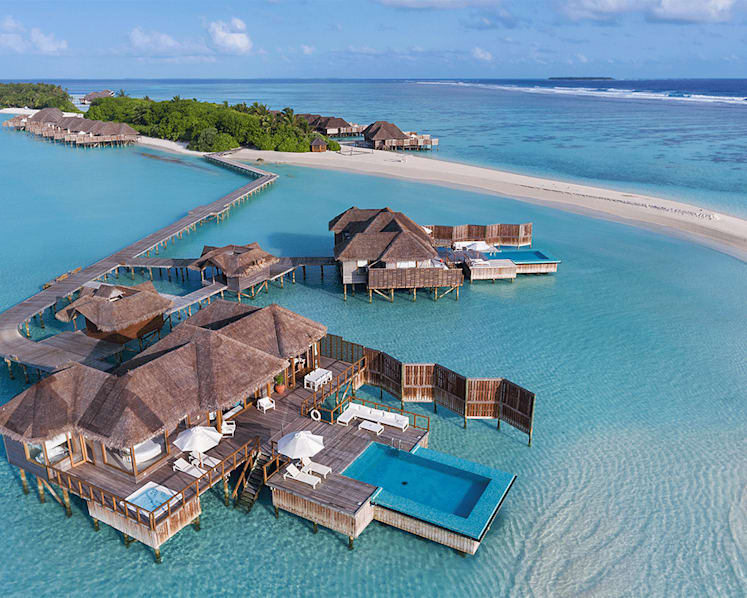 Snorkelling with whale sharks, underwater dining and meeting a heron named George in the Maldives