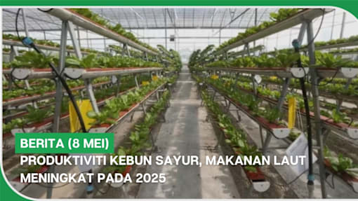 BERITA (8 Mei) | Produktiviti kebun sayur, makanan laut meningkat pada 2025