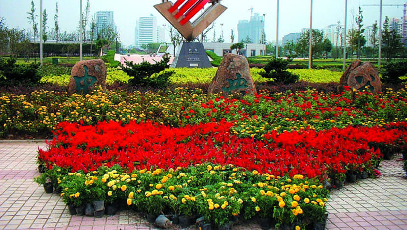 Third G2G project in Chongqing could ‘pave the way for western China’s development’