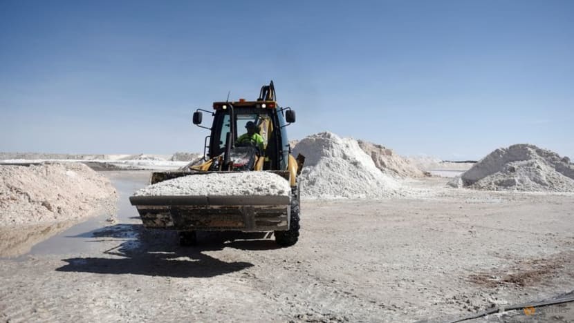 Lithium stocks rally as CATL mine halt raises prospects of tighter supply