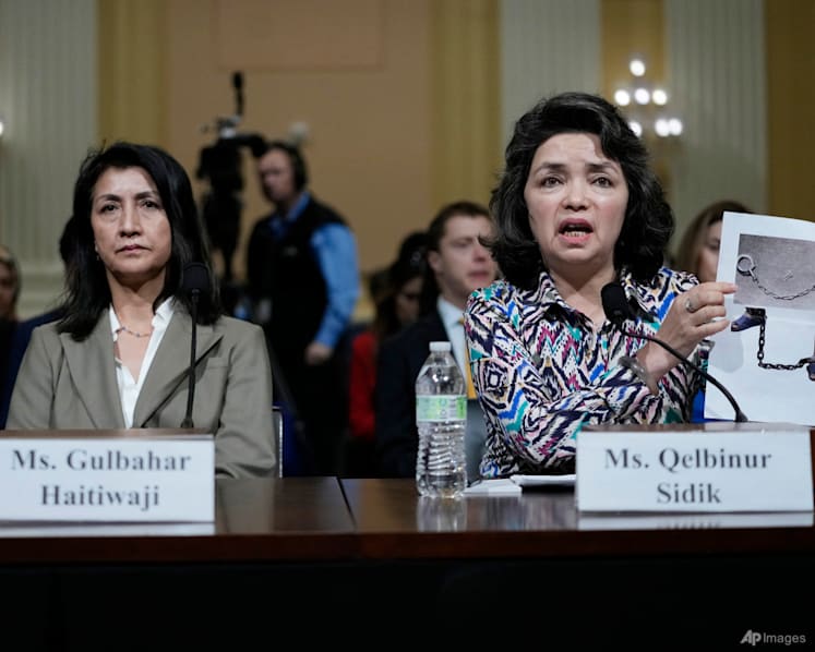 US House panel on China turns focus to plight of Uyghurs